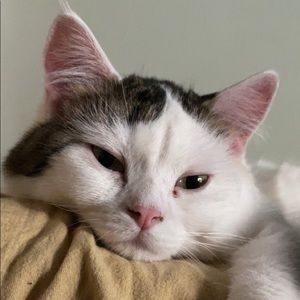 Meet your Posher, Katherine